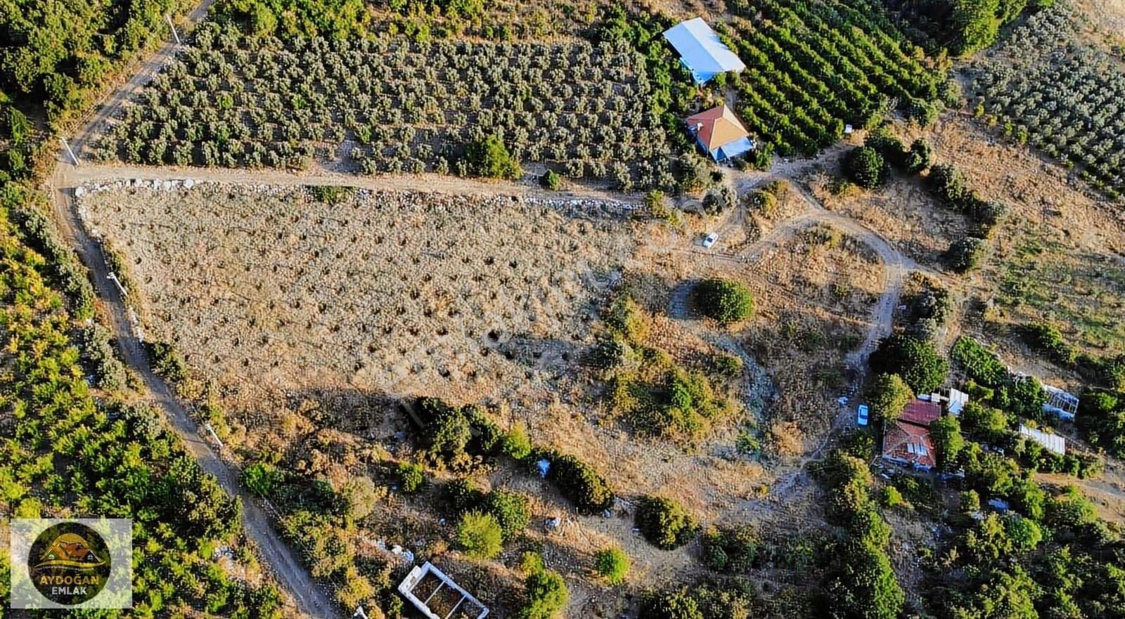 Aydoğan Emlak'tan Satılık Rızai Taksimli Doğa İçerisinde Tarla - Görsel 3