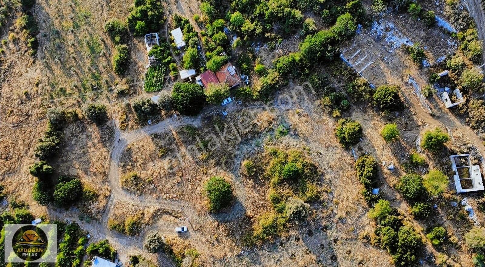 Aydoğan Emlak'tan Satılık Rızai Taksimli Doğa İçerisinde Tarla