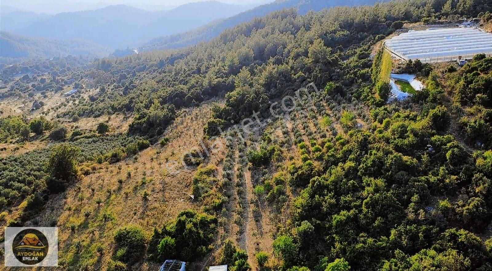 Aydoğan Emlak'tan Satılık Rızai Taksimli Doğa İçerisinde Tarla - Görsel 2
