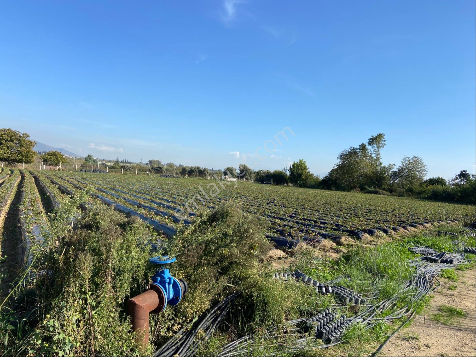 Aydın Efeler Kızılcaköy De Satılık 6.500 M2 Hisseli Tarla - Görsel 27