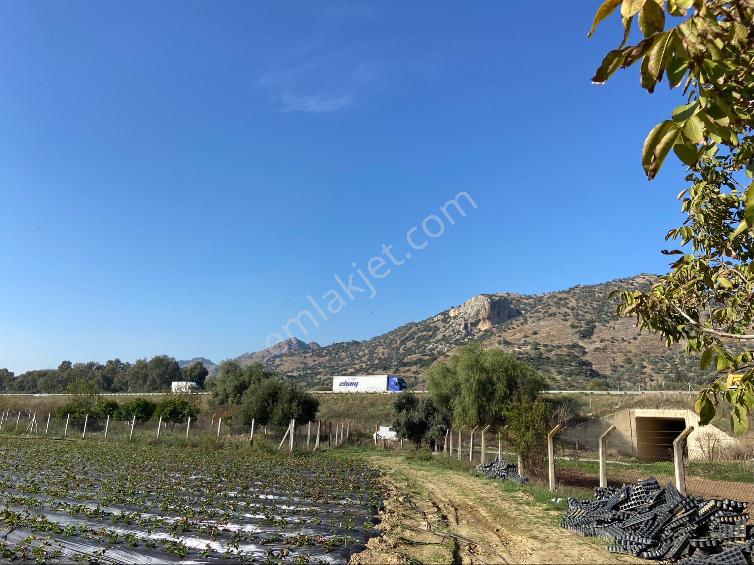 Aydın Efeler Kızılcaköy De Satılık 6.500 M2 Hisseli Tarla - Görsel 12