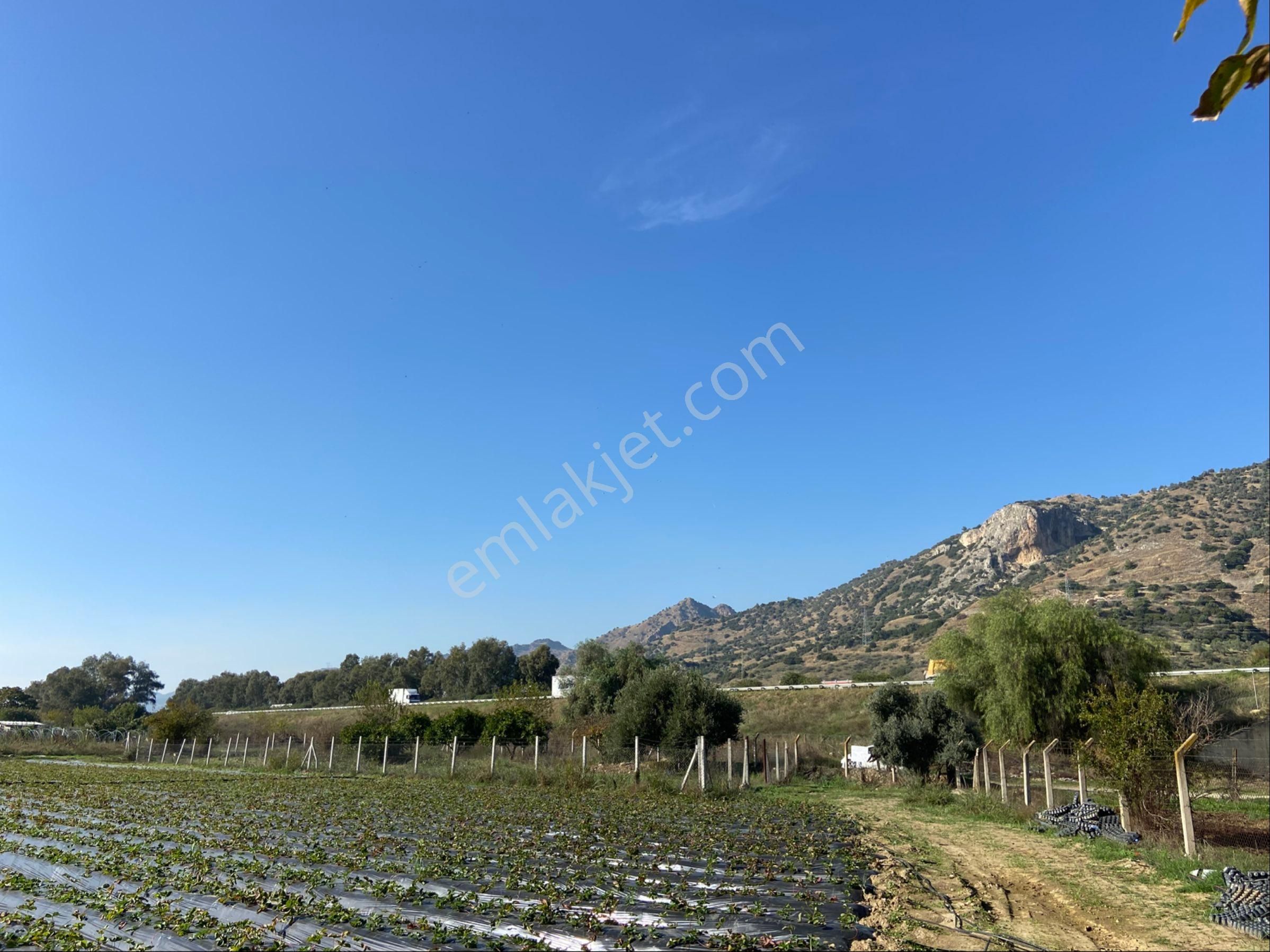 Aydın Efeler Kızılcaköy De Satılık 6.500 M2 Hisseli Tarla - Görsel 11