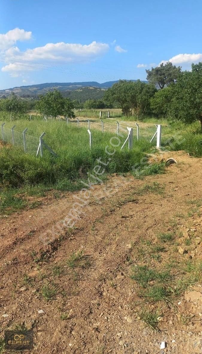Kusadası Cnar Köyünde Satılık Tarla