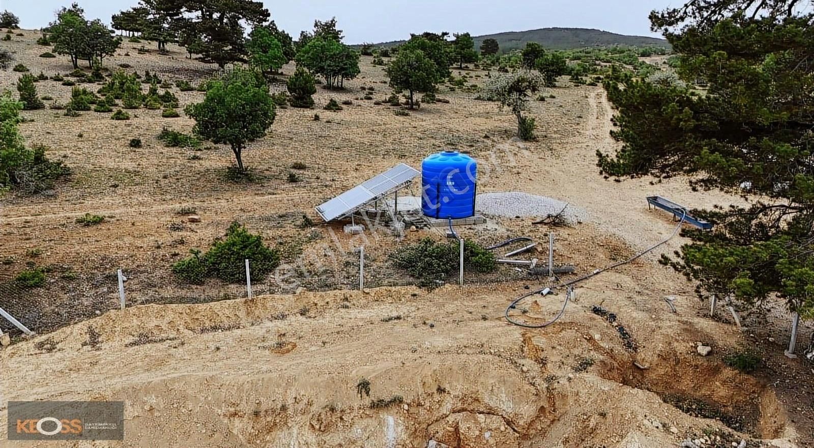 Kızılören De Doga Harikasi Ahsap Evli Bahcemiz Satılık Tır - Görsel 6