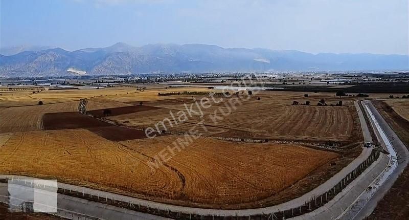 Mk Emlak'ta Tavullar Mah. 5.381 M2 Satılık Tarla - Görsel 5