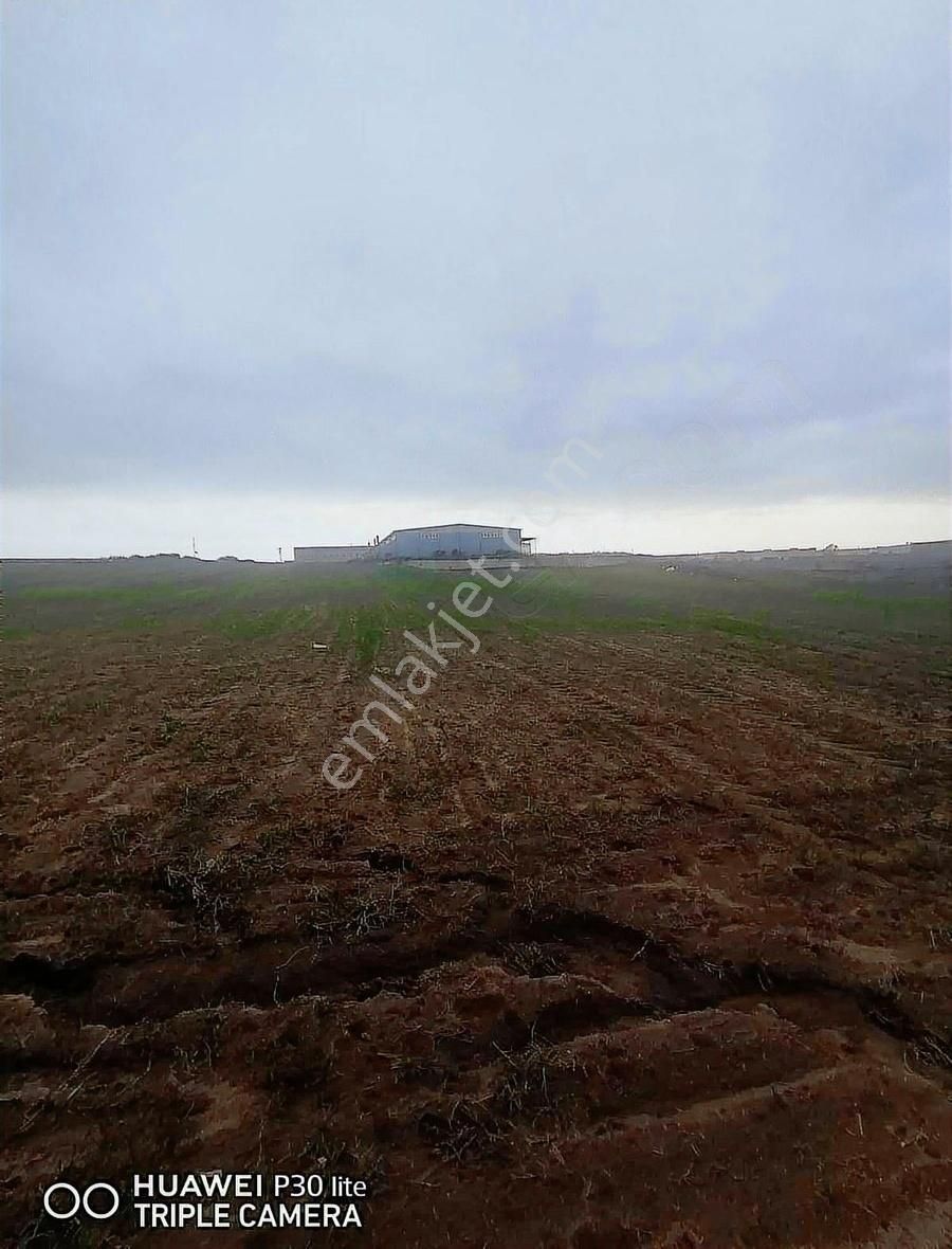 Acilll Acilll Sanayi İmarlı 5.750 M2 Arsa