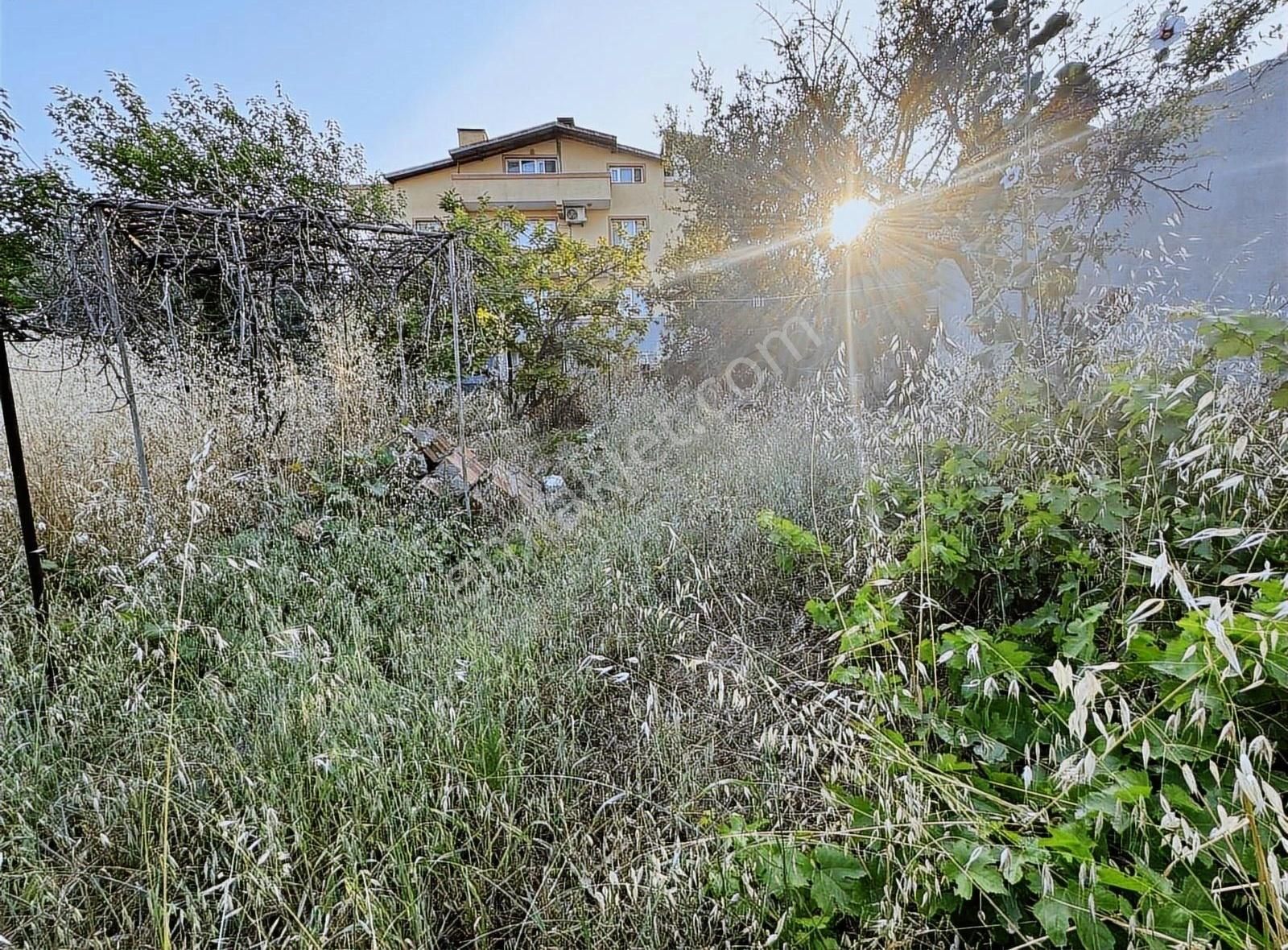 Fb Gayrimenkul'den Urla Yaka' Da Satılık Arsa - Görsel 4