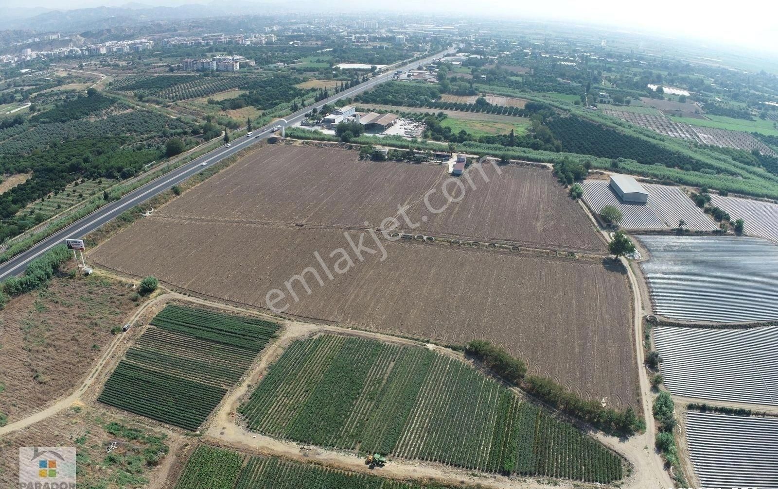 Aydın Nazilli İsabeylide Ticari İmar Sınırında Satılık Bahçe - Görsel 18