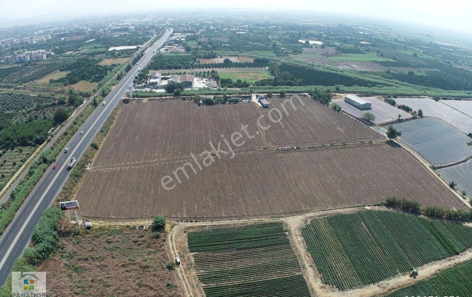 Aydın Nazilli İsabeylide Ticari İmar Sınırında Satılık Bahçe - Görsel 21