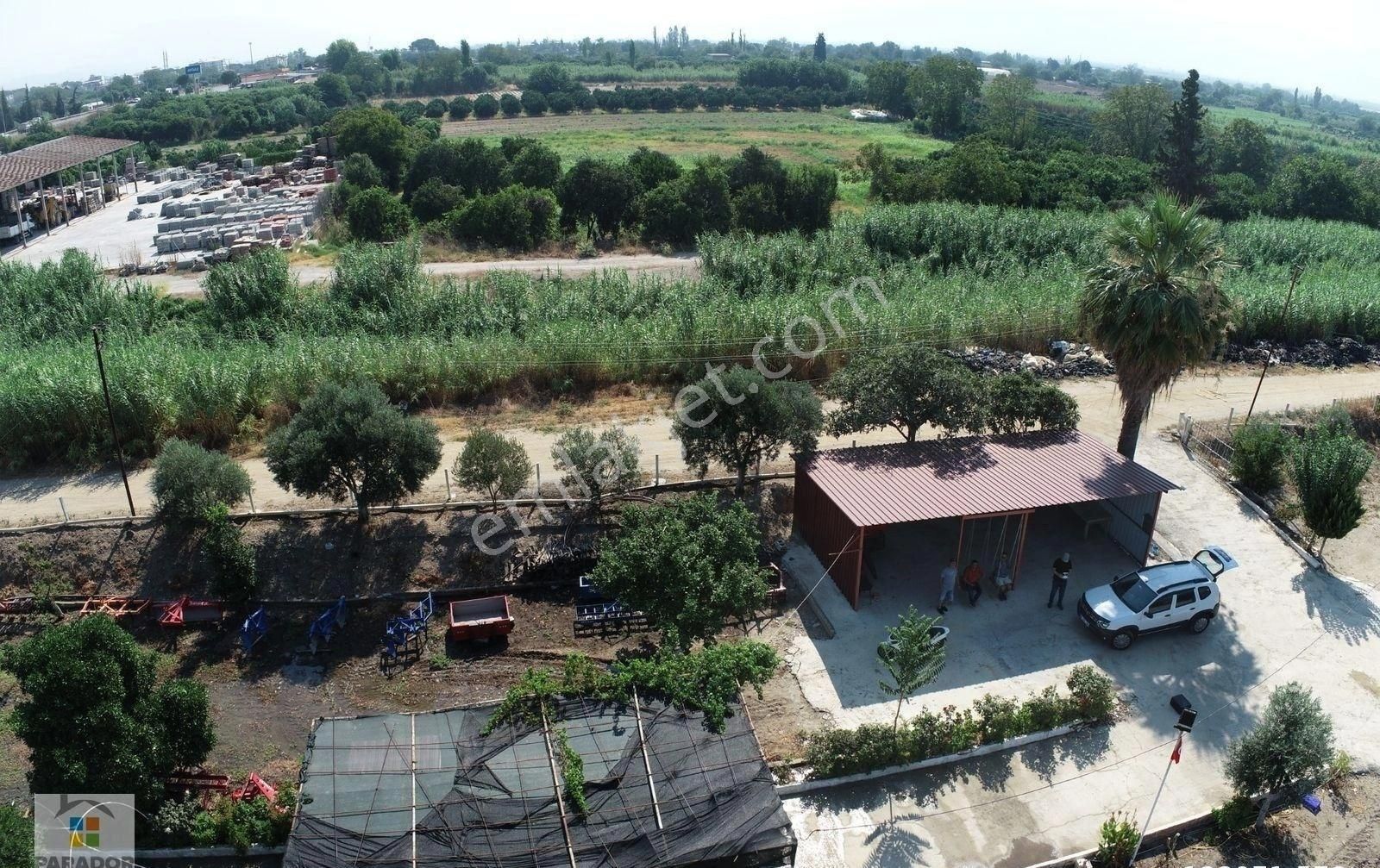 Aydın Nazilli İsabeylide Ticari İmar Sınırında Satılık Bahçe - Görsel 24