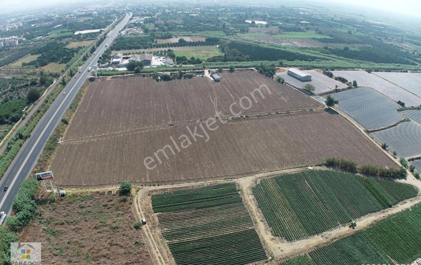 Aydın Nazilli İsabeylide Ticari İmar Sınırında Satılık Bahçe - Görsel 3