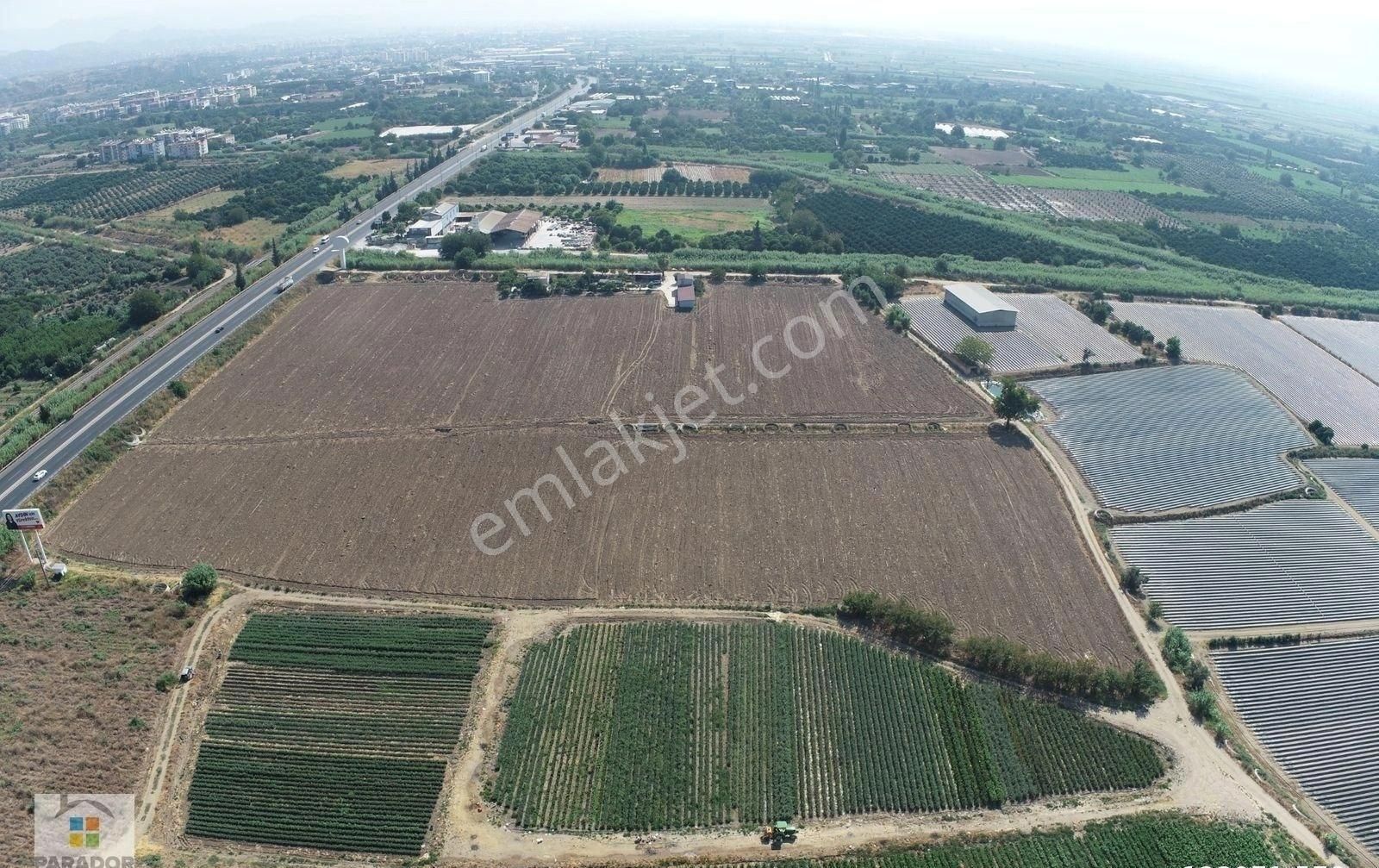 Aydın Nazilli İsabeylide Ticari İmar Sınırında Satılık Bahçe - Görsel 4