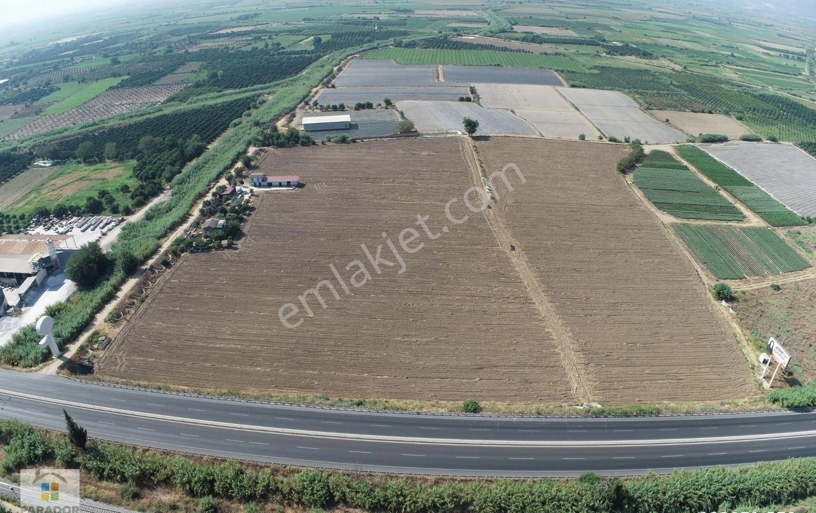 Aydın Nazilli İsabeylide Ticari İmar Sınırında Satılık Bahçe - Görsel 23