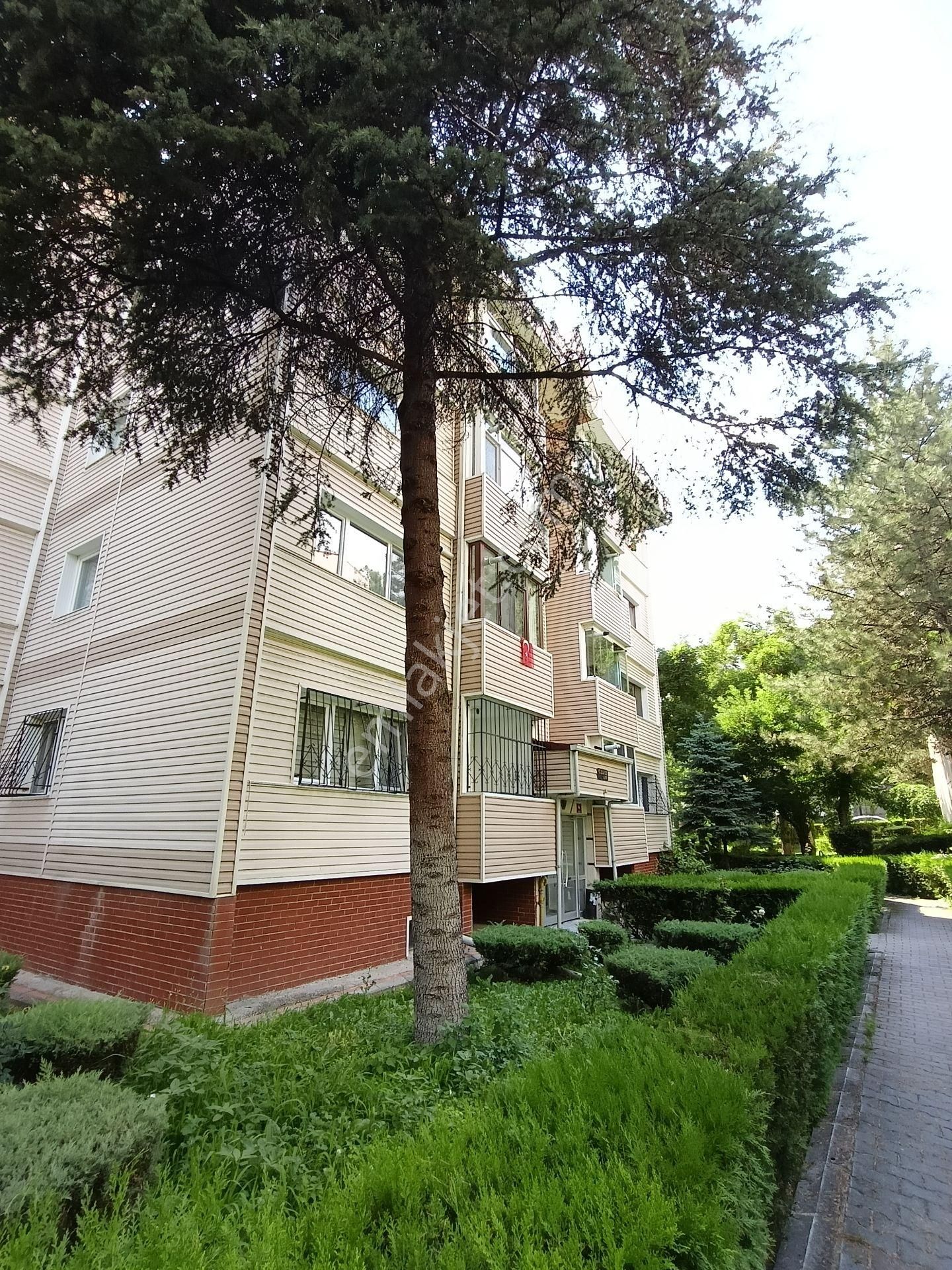 Polat Live Emlaktan Age Bloklarında Ferah 2+1 Daire