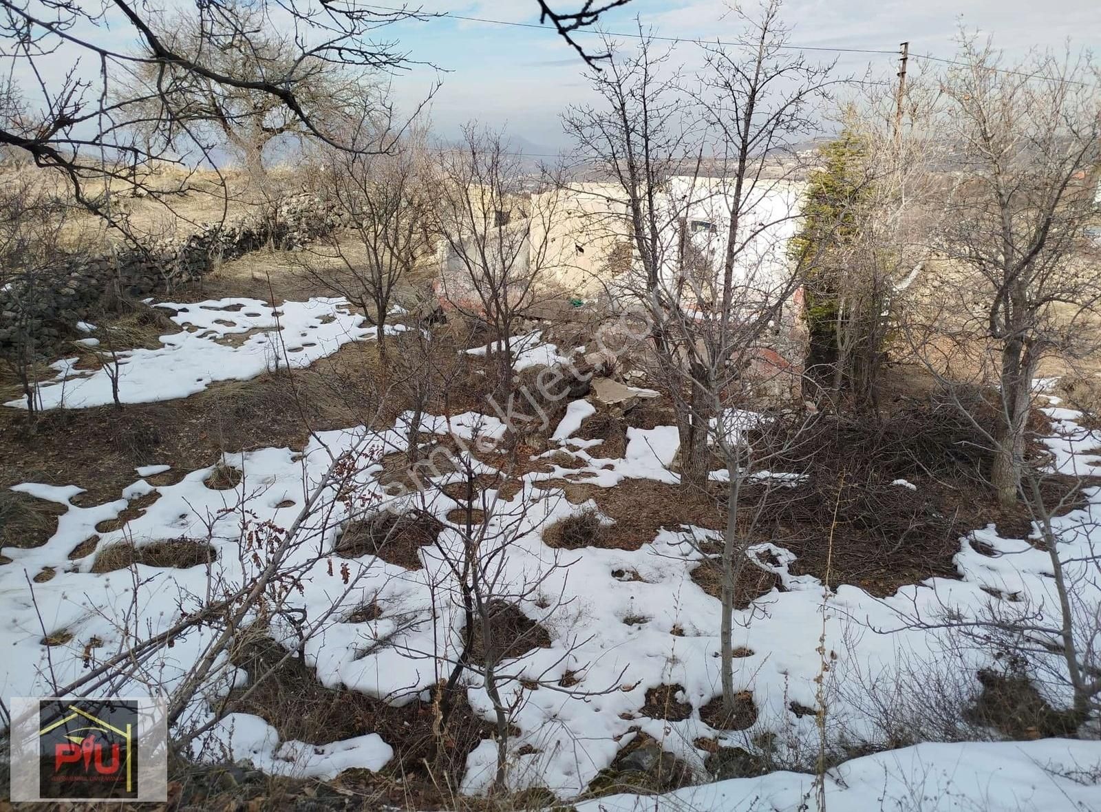 Hacılar Beğendik De Satılık 683 M2 Hisseli Bağ - Görsel 4