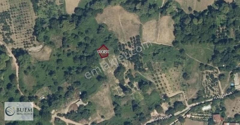 Buem'den Çiftlikköy Çukurköy De Köyaltı Mevkiinde Satılık Tarla