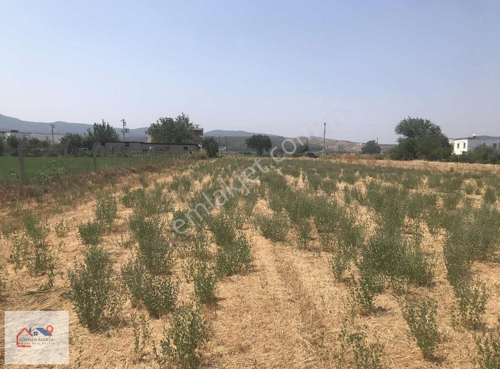 Muğla Milas Ekinanbarı Satılık Tarla 3550m2 Gökhan Alkaya'dan - Görsel 31