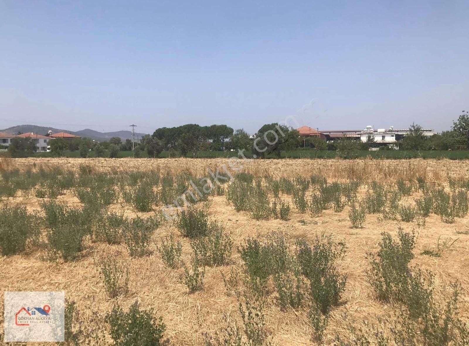 Muğla Milas Ekinanbarı Satılık Tarla 3550m2 Gökhan Alkaya'dan - Görsel 5