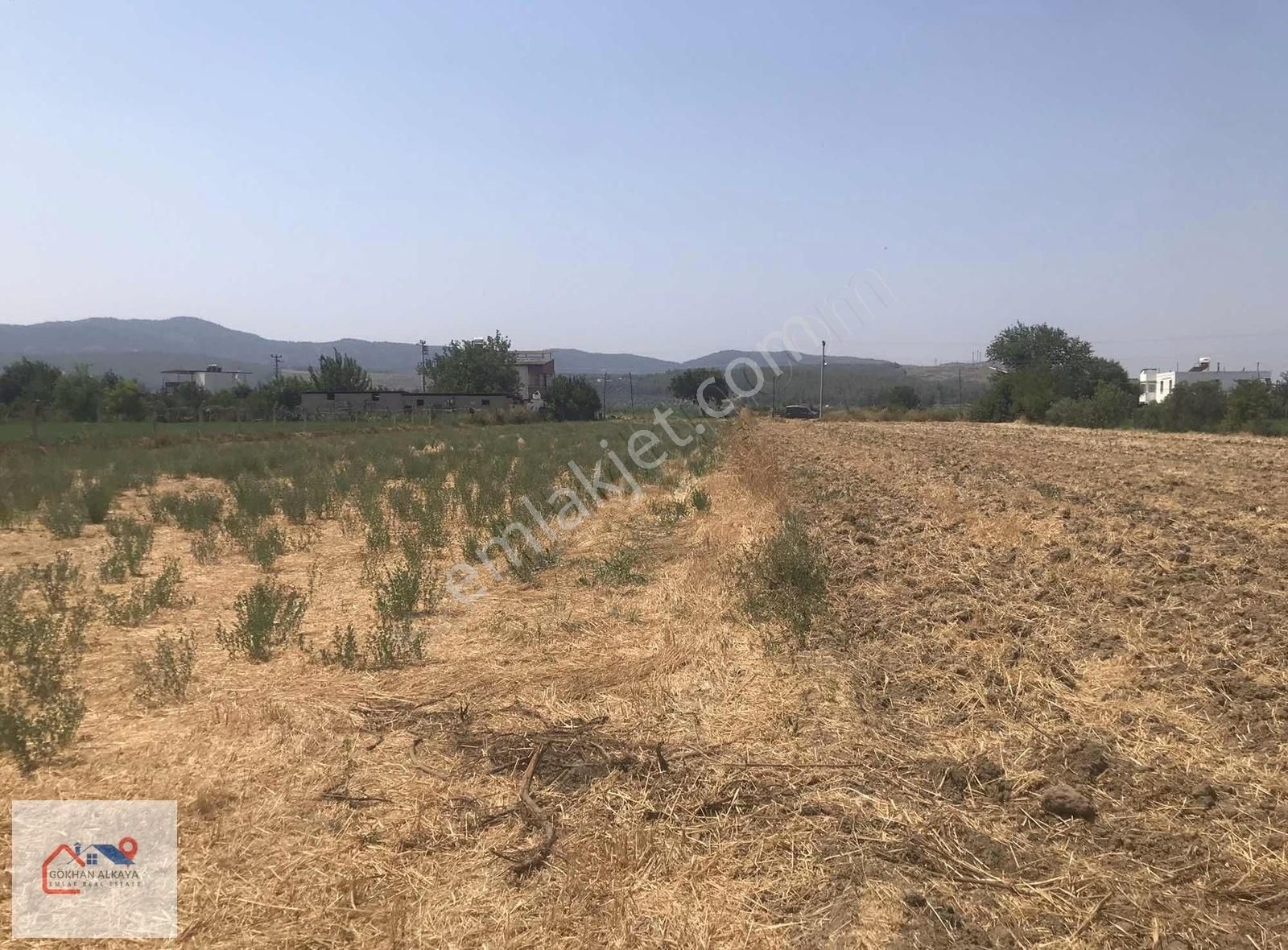 Muğla Milas Ekinanbarı Satılık Tarla 3550m2 Gökhan Alkaya'dan - Görsel 35