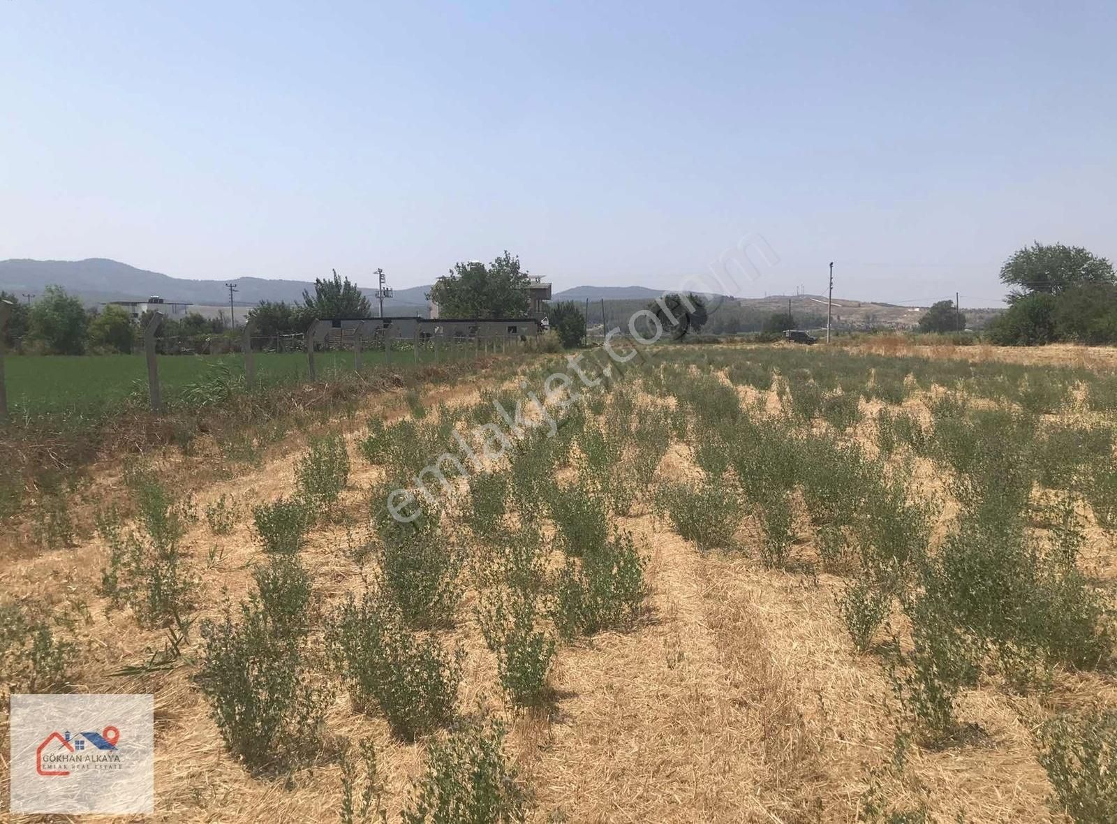 Muğla Milas Ekinanbarı Satılık Tarla 3550m2 Gökhan Alkaya'dan - Görsel 18