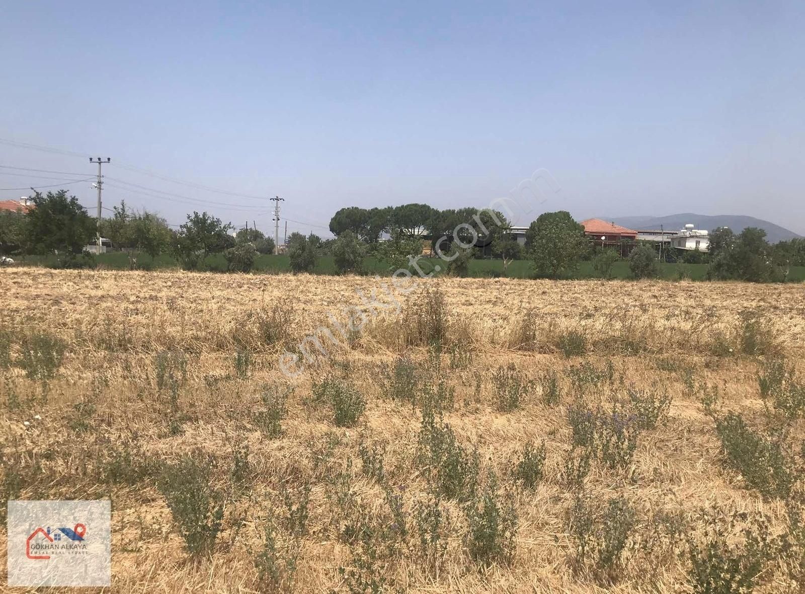 Muğla Milas Ekinanbarı Satılık Tarla 3550m2 Gökhan Alkaya'dan - Görsel 9