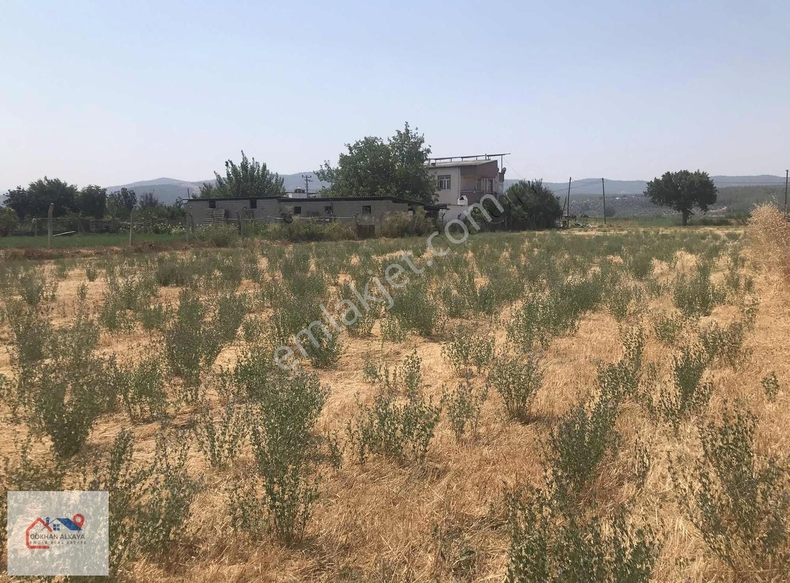 Muğla Milas Ekinanbarı Satılık Tarla 3550m2 Gökhan Alkaya'dan - Görsel 11