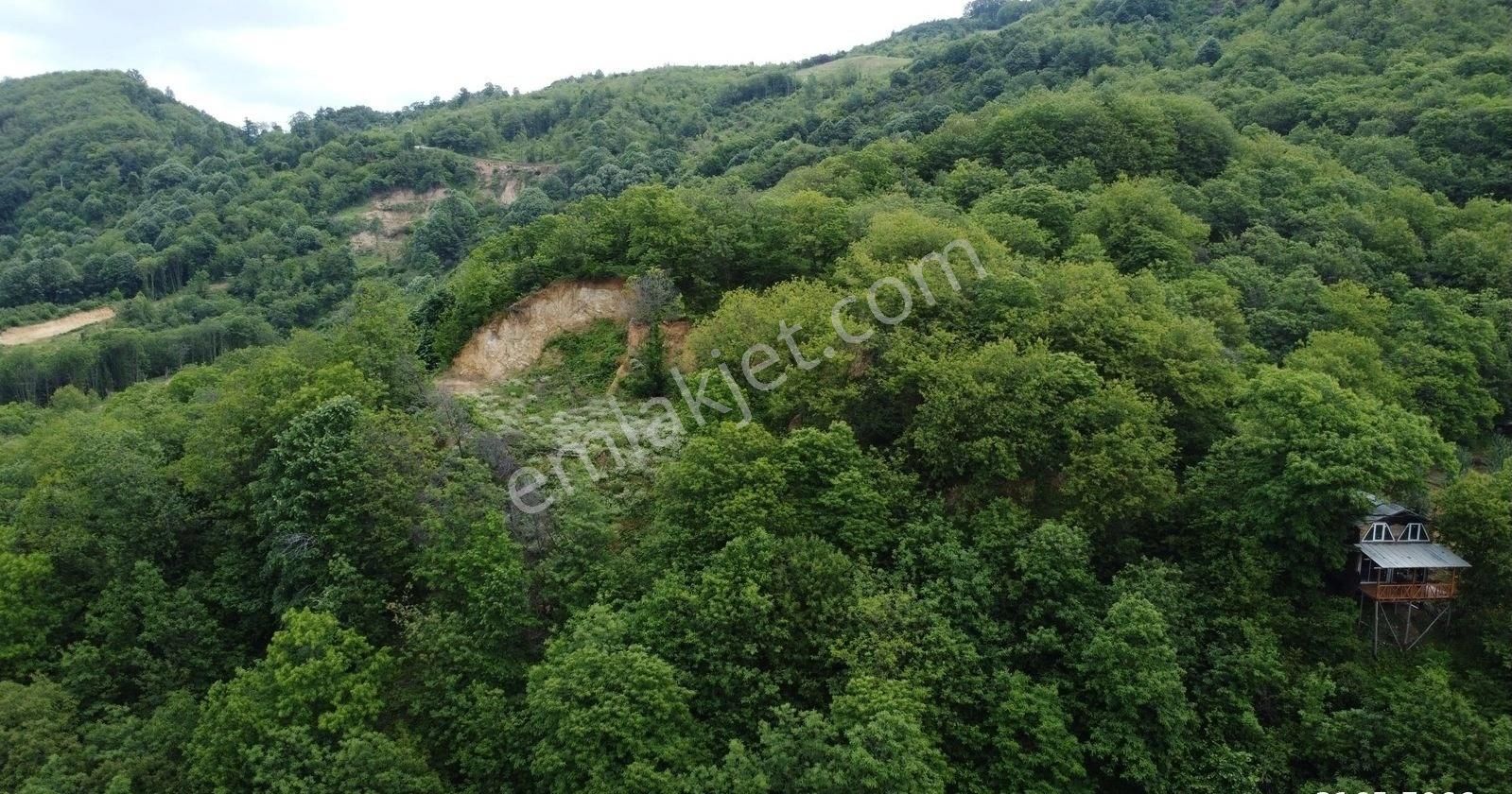 Ceyhun Emlak'tan Satılık 2825 M2 Kestanelik