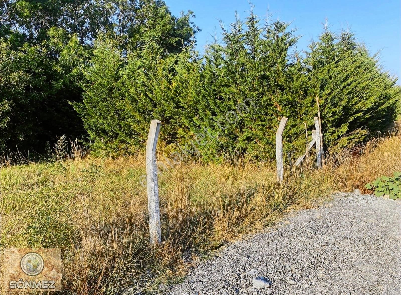 Arnavutköy Balaban Köyünde 565 M2 Çevrili Hobi Bahçesi... - Görsel 28