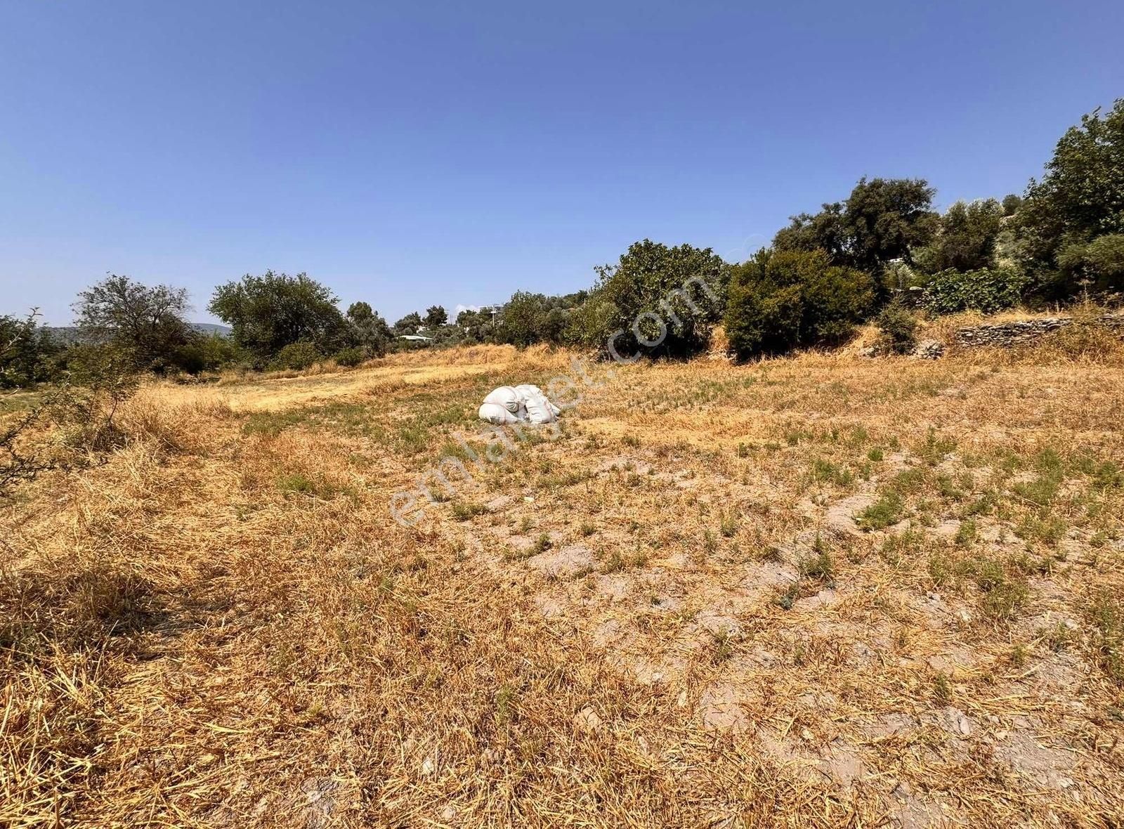 Milas Hasanlar Köyünde Köyiçi İmarlı Arsa