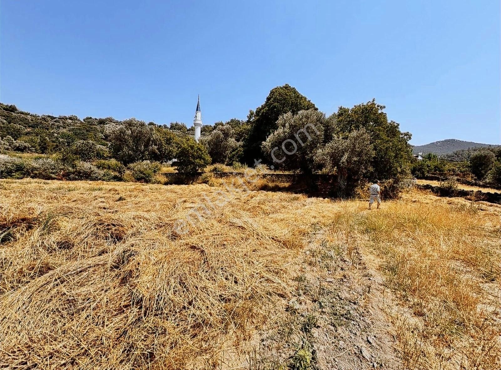 Köyiçi İmarlı 618 M2 Arsa