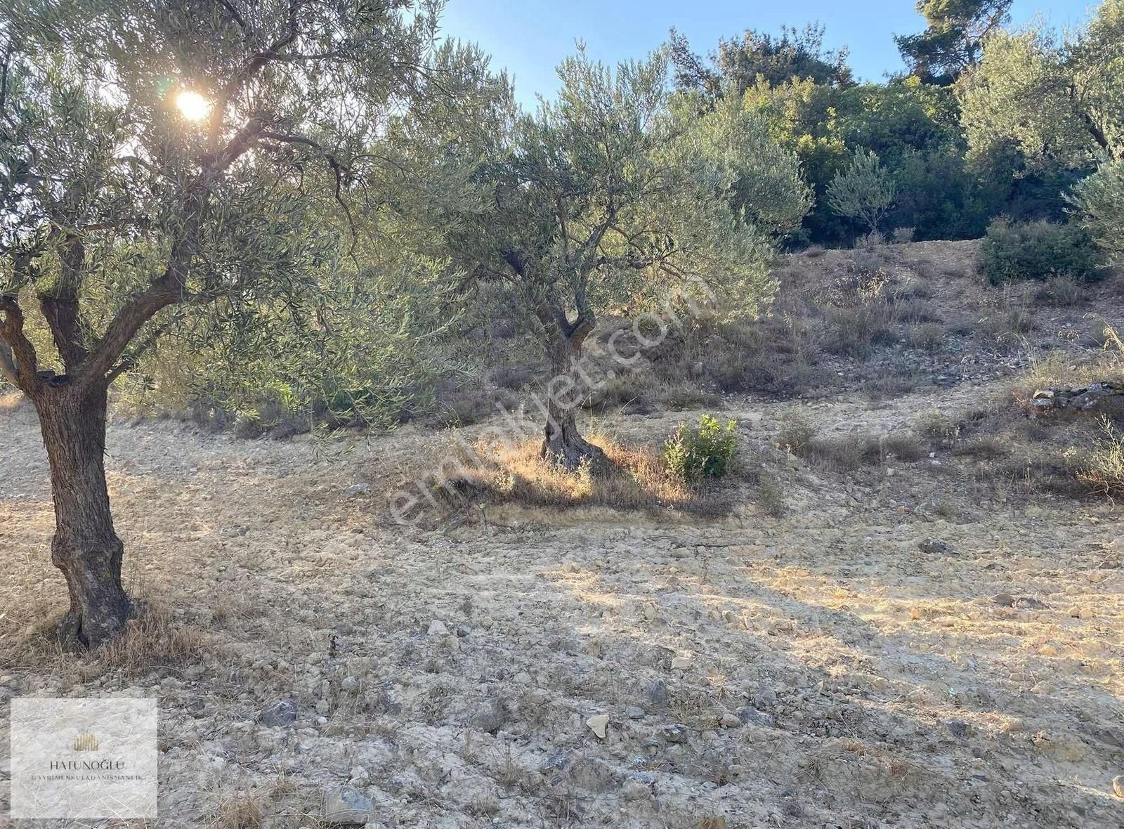 Hatunoğlu'ndan Satılık Bergama Koyuneli'nde 1.121 M2 Tarla - Görsel 3