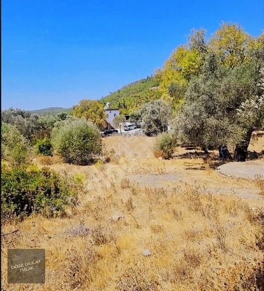 Bodrum, Mazı'da Yatırım Değeri Yüksek Yola Cephe Tarla - Görsel 6