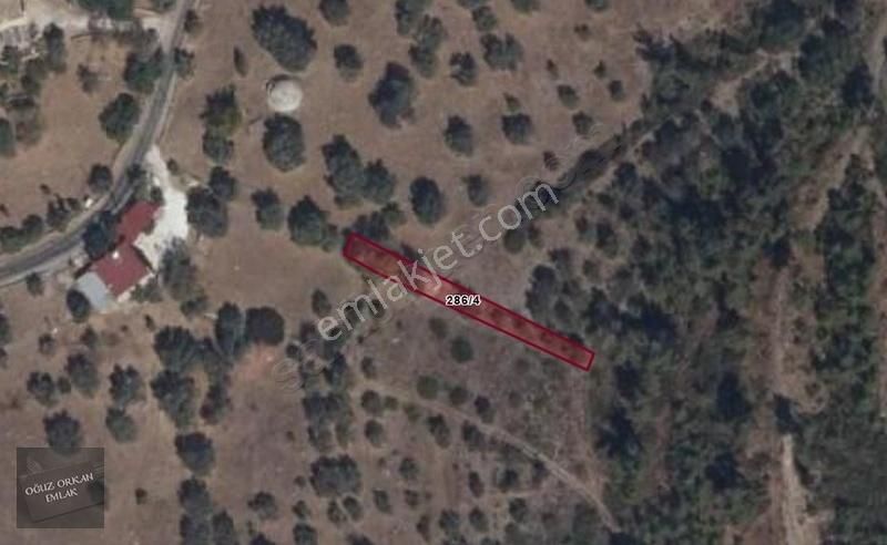 Bodrum, Mazı'da Yatırım Değeri Yüksek Yola Cephe Tarla - Görsel 7