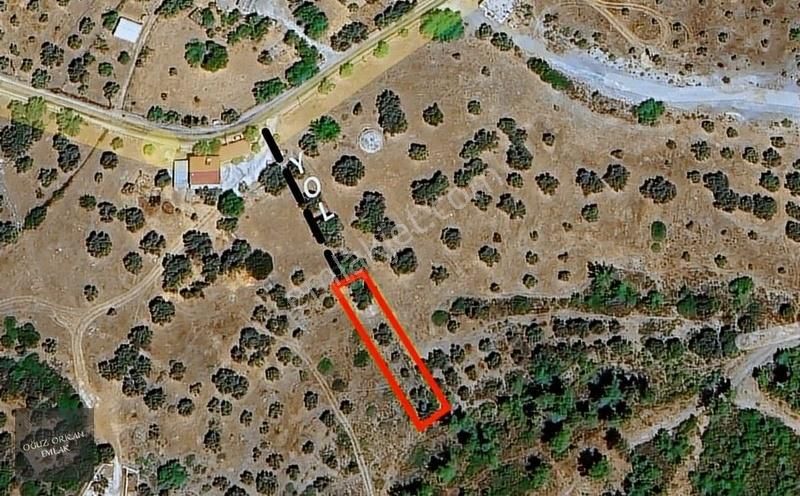 Bodrum, Mazı'da Yatırım Değeri Yüksek Yola Cephe Tarla - Görsel 4