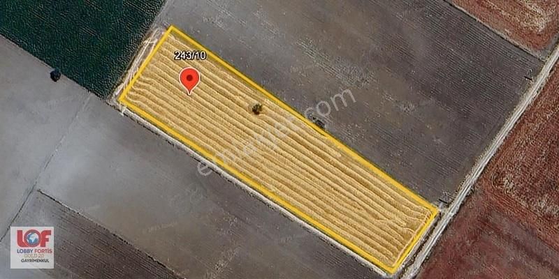 Lobby Fortisten Tavas Altınovada Satılık 12.146 M2 Tarla - Görsel 4