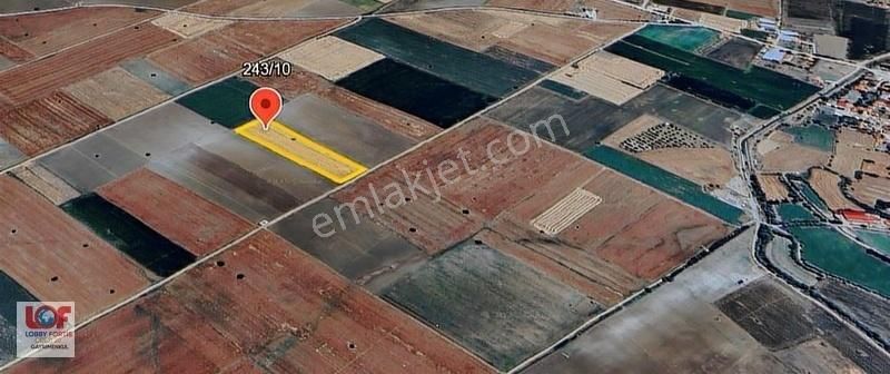 Lobby Fortisten Tavas Altınovada Satılık 12.146 M2 Tarla