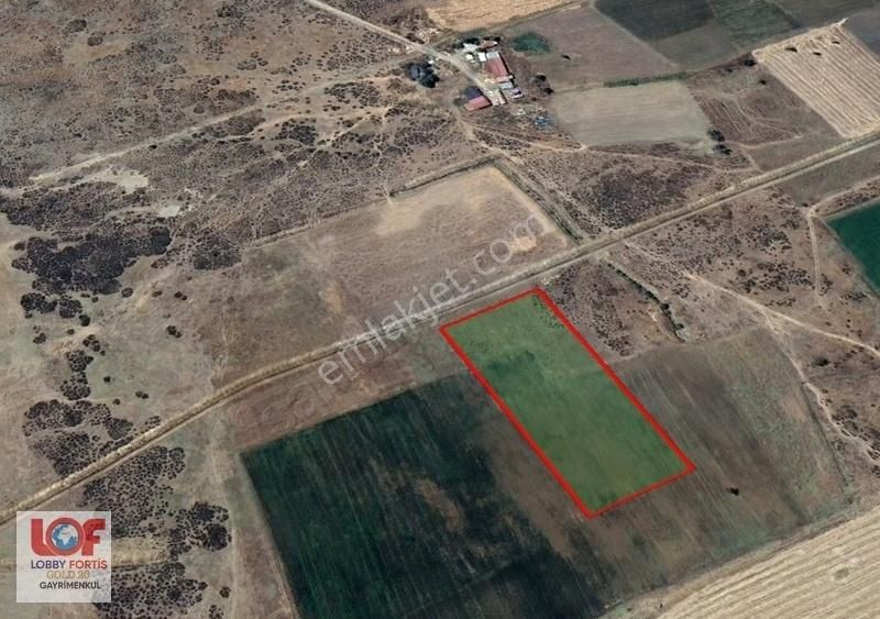 Lobby Fortis'ten Acıpayam Akalan'da Satılık 11.575 M2 Tarla - Görsel 5