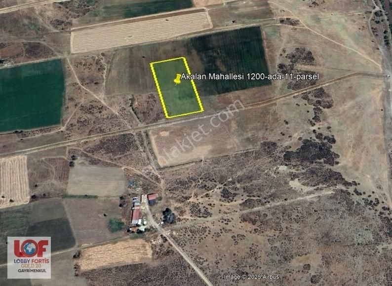 Lobby Fortis'ten Acıpayam Akalan'da Satılık 11.575 M2 Tarla - Görsel 4