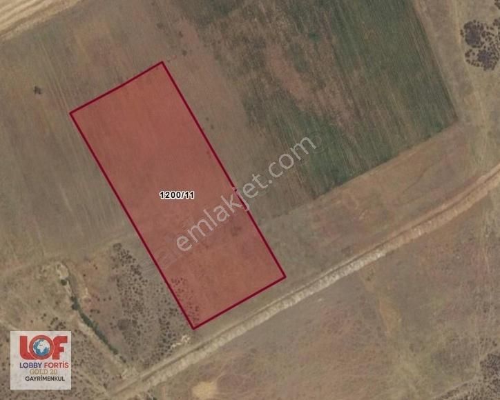Lobby Fortis'ten Acıpayam Akalan'da Satılık 11.575 M2 Tarla - Görsel 3