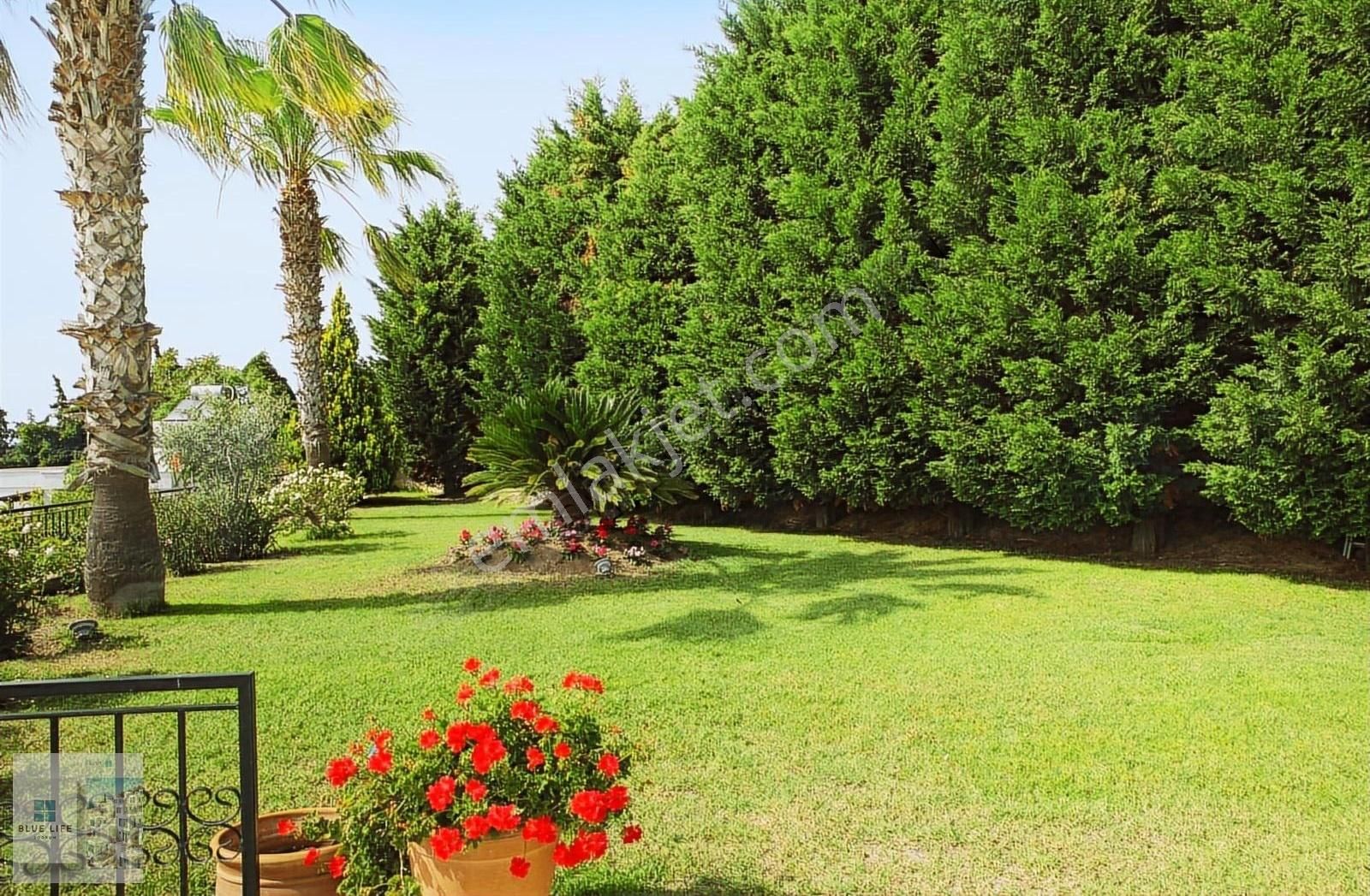 Muğla Bodrum Yalıkavakta 5+1 Müstakil Manzaralı Kiralık Villa - Görsel 21