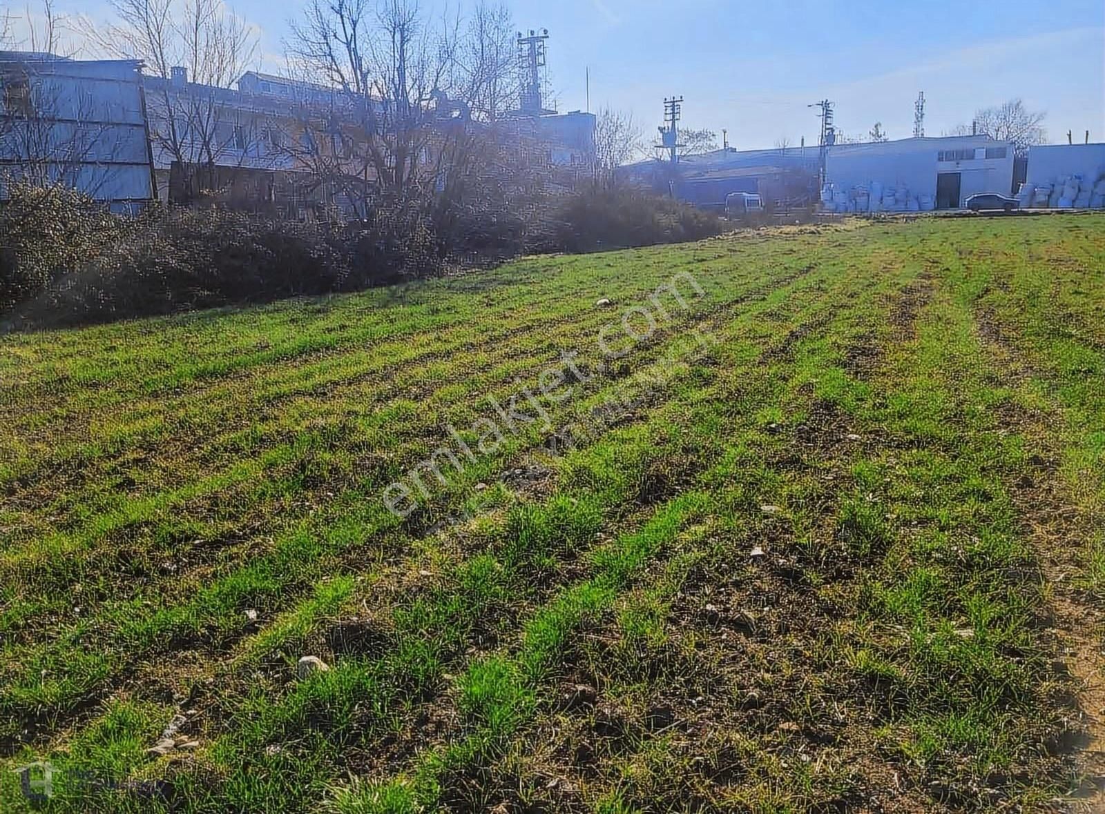 Çalı Da Sanayi İmarlı 3614 M2 Tek Tapu Arsa