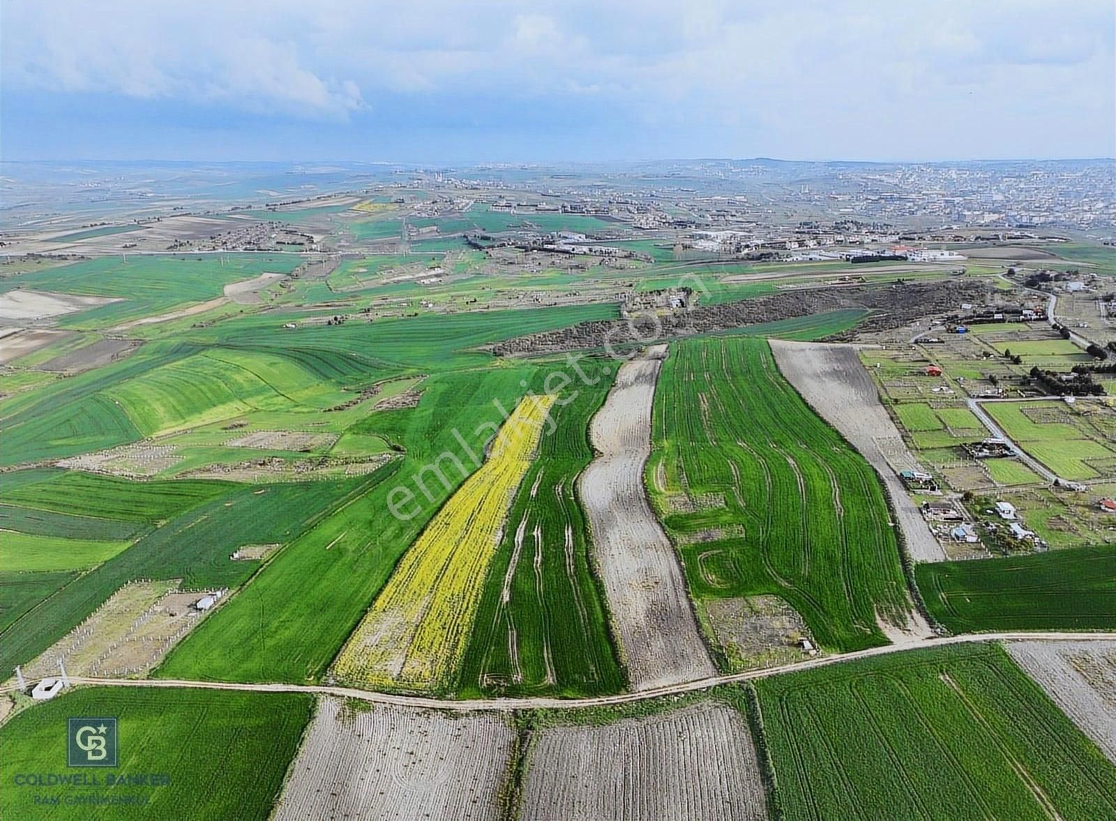 Satılık Arnavutköy Hacımaşlı Bölgesinde Yatırımlık Tarla