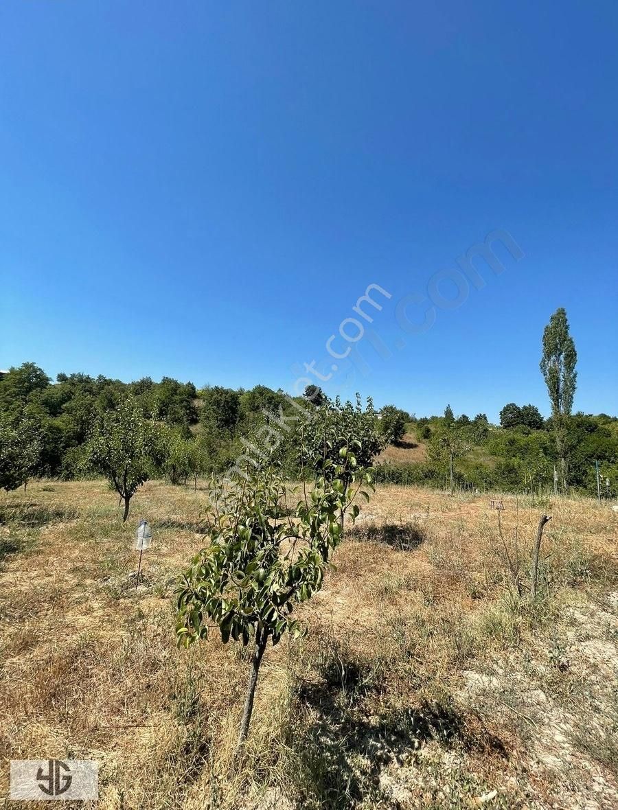 Yenişehir Kızılhisar Köyün'de Satılık Tarla İçin'de 3 Katlı Ev - Görsel 6