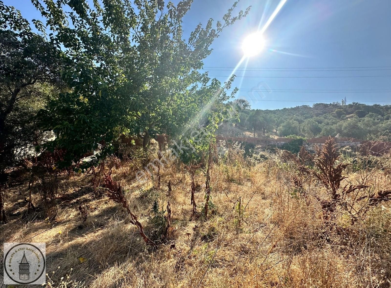 Aydın Germencik Hıdırbeyli Mah De 340 M² Bahçe Ve Arsa - Görsel 6