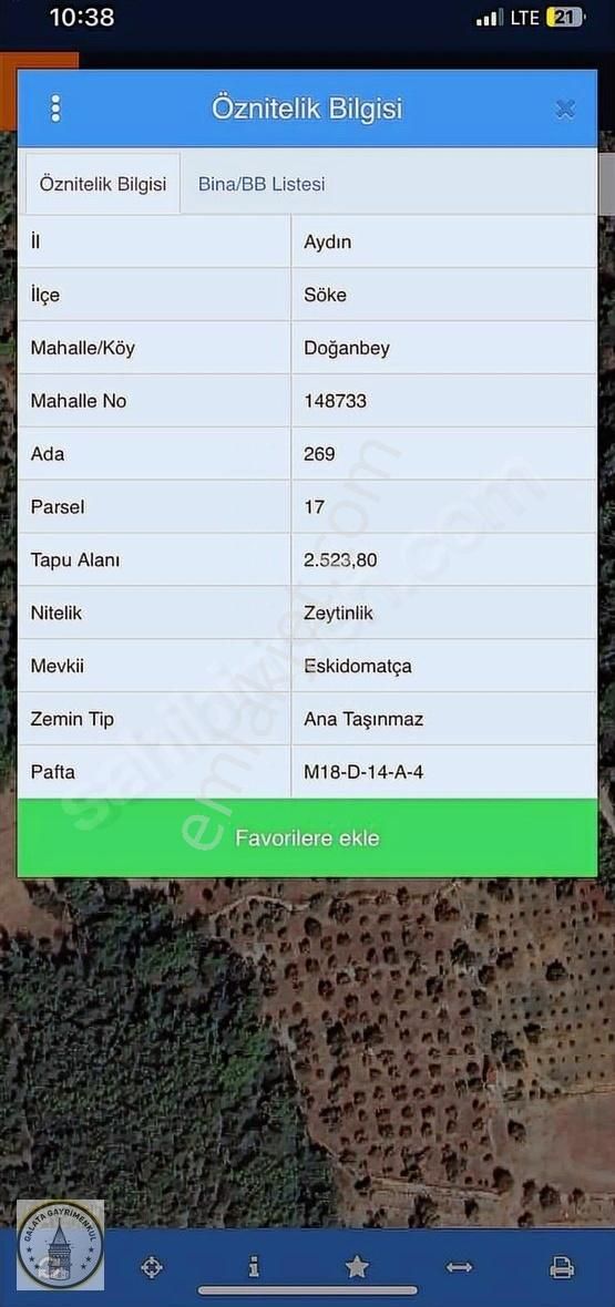 Doğanbeyde Yatırımlık Zeytinlik