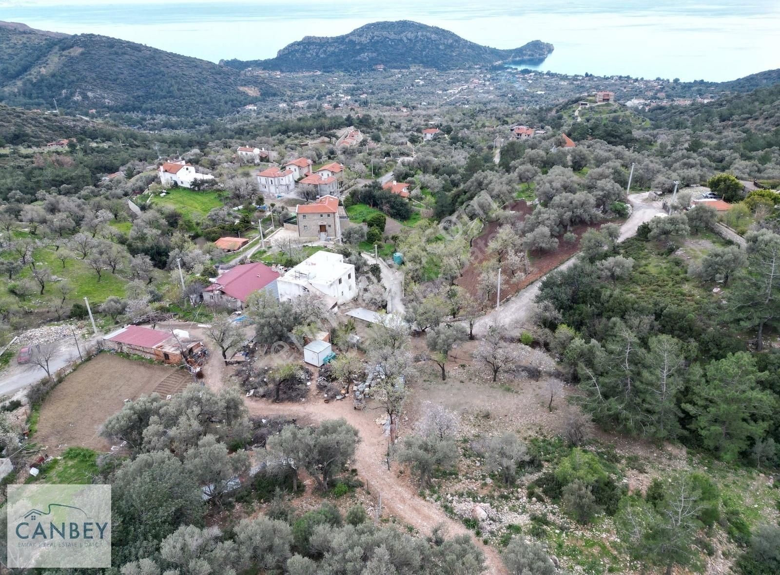 Mesudiye'de Deniz Gören 1.685 M2 Plan İçi Tarla