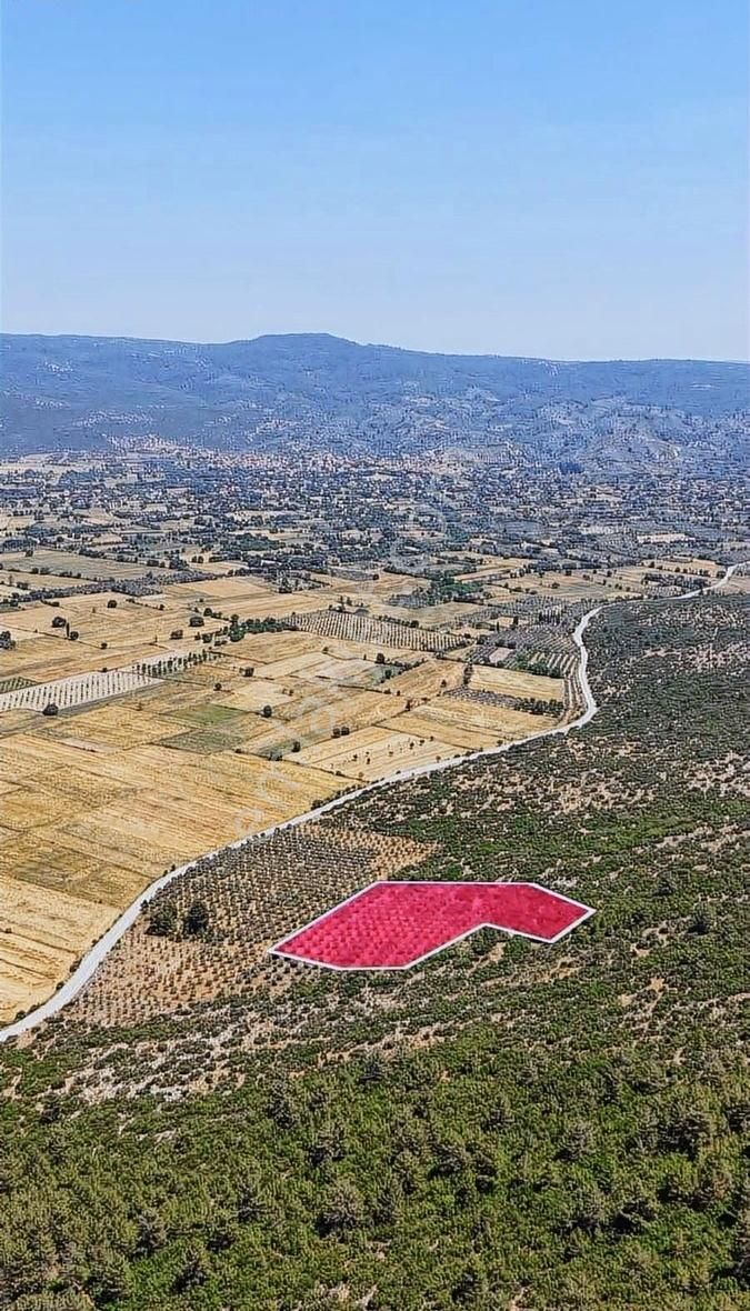 Yeşilyurt'ta Yatırımlık 10 Dönüm Satılık Tarla-avantajlı Fırsat!