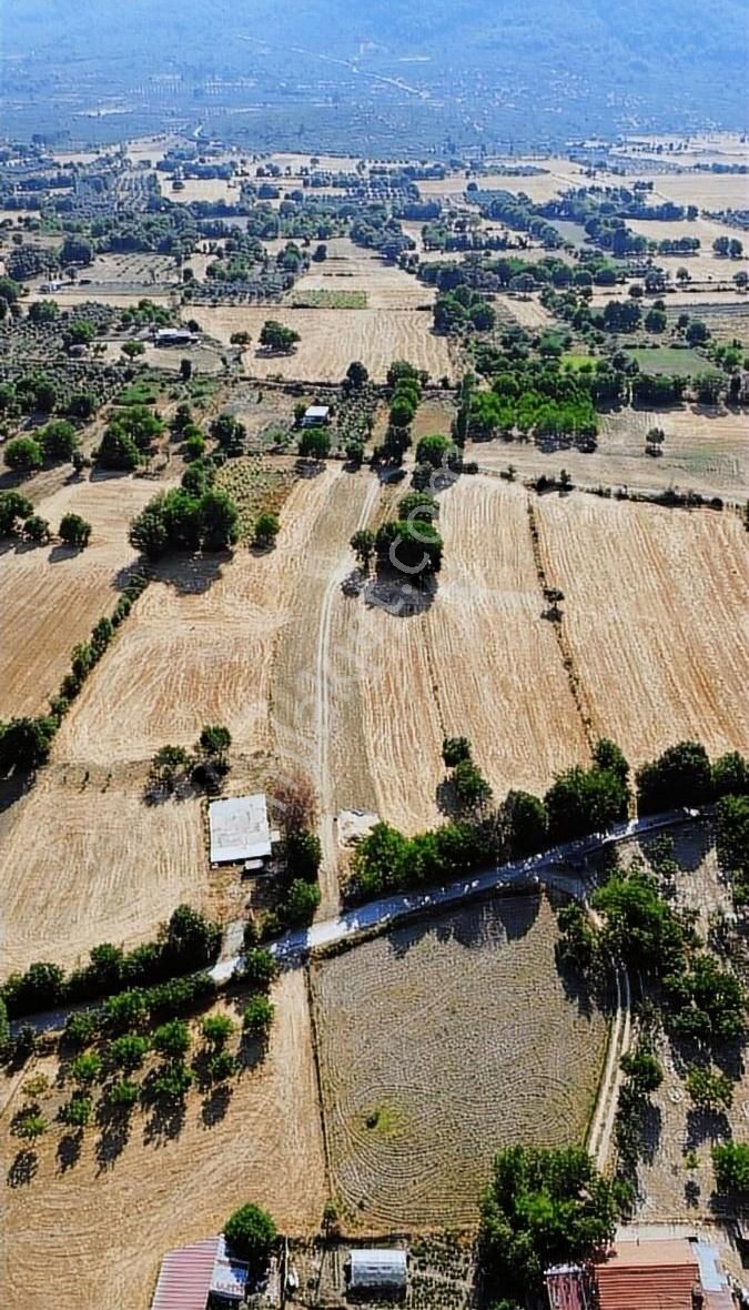 Muğla Menteşe Yeşilyurt Mahallesinde 4919 M2 Satılık Tarla - Görsel 4