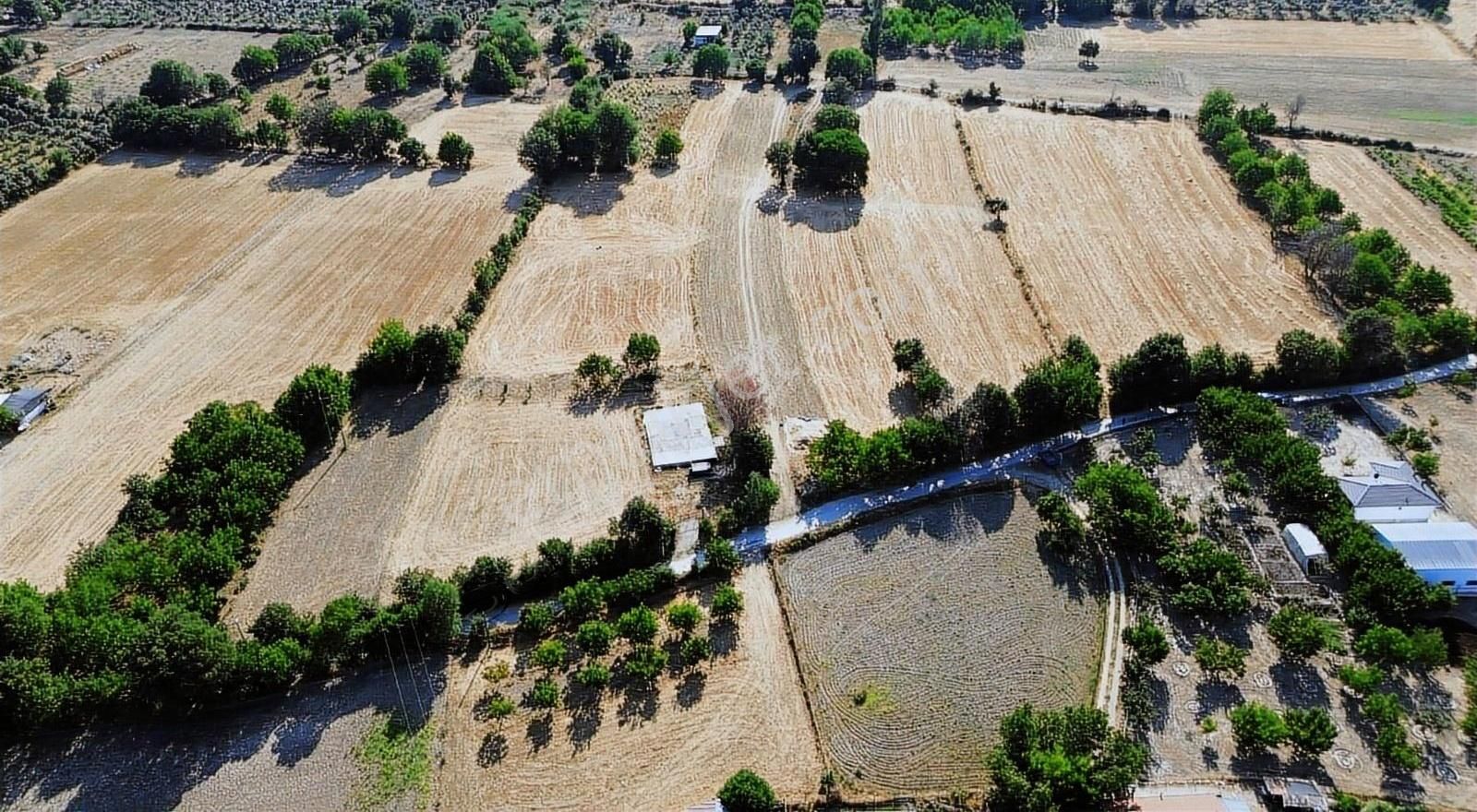 Muğla Menteşe Yeşilyurt Mahallesinde 4919 M2 Satılık Tarla - Görsel 3