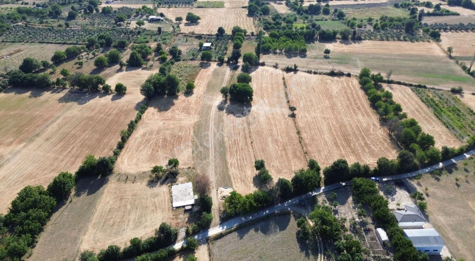 Muğla Menteşe Yeşilyurt Mahallesinde 4919 M2 Satılık Tarla - Görsel 7